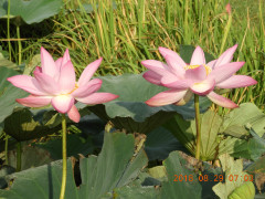 DSCN0166.JPG