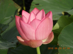 DSCN0169.JPG