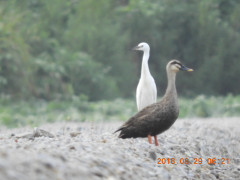 DSCN0128.JPG