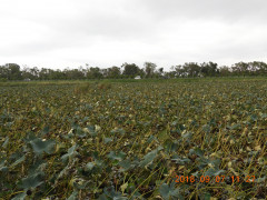 DSCN0335.JPG