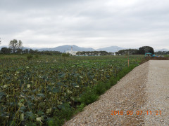 DSCN0337.JPG