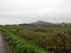 DSCN0346.JPG