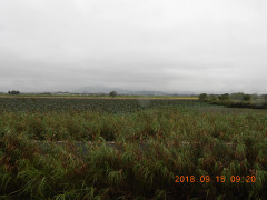 DSCN0347.JPG