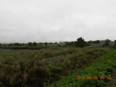 DSCN0348.JPG