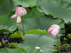 DSCN0349.JPG