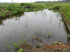 DSCN0351.JPG