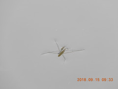 DSCN0352.JPG
