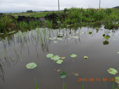 DSCN0359.JPG