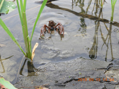 DSCN0392.JPG