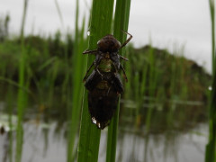 RSCN0372.JPG