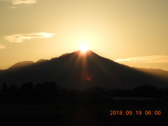 DSCN0117.JPG