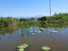 DSCN0126.JPG