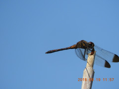DSCN0135.JPG