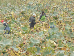 DSCN9943.JPG
