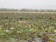 DSCN9946.JPG