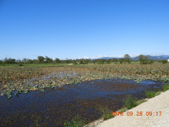 DSCN5745.JPG