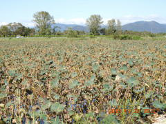 DSCN5754.JPG
