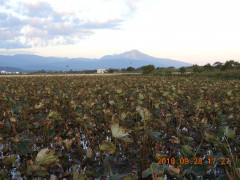DSCN5759.JPG