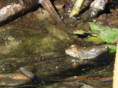 DSCN5752.JPG