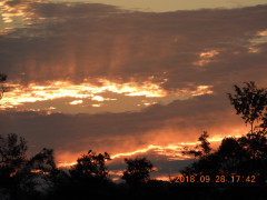 DSCN5767.JPG