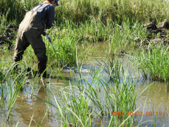 DSCN5792.JPG