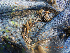 DSCN5789.JPG