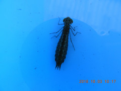 DSCN5809.JPG