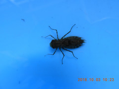 DSCN5813.JPG