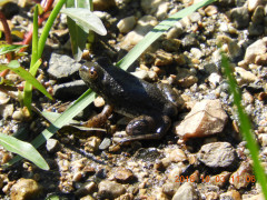 DSCN5824.JPG