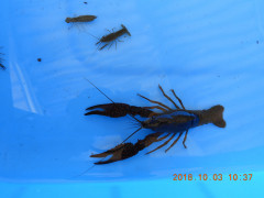 DSCN5818.JPG