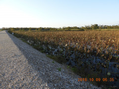 DSCN5858.JPG