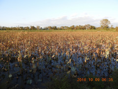 DSCN5859.JPG