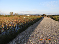 DSCN5860.JPG