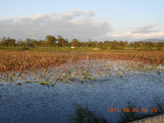 DSCN5855.JPG
