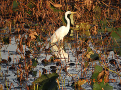 DSCN5854.JPG