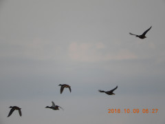 DSCN5853.JPG
