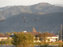DSCN5852.JPG