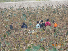 DSCN9980.JPG