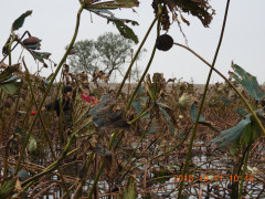 DSCN5897.JPG