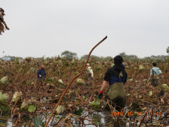DSCN5896.JPG