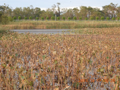 DSCN5915.JPG