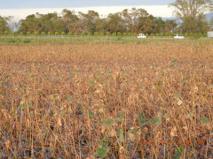 DSCN5917.JPG