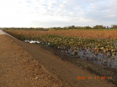DSCN5921.JPG