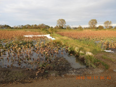 DSCN5922.JPG
