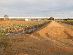 DSCN5923.JPG