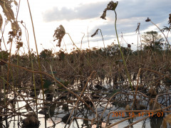 DSCN5932.JPG