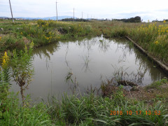 DSCN5924.JPG