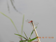 DSCN5925.JPG