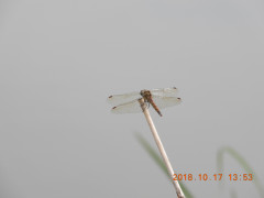 DSCN5926.JPG