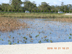 DSCN5992.JPG